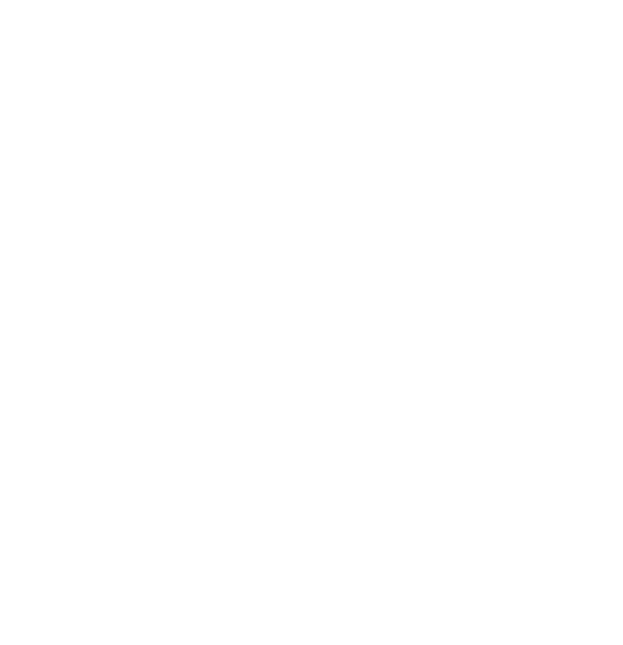 Andis logo
